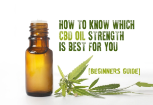 Options You can Choose for CBD Oil Intake