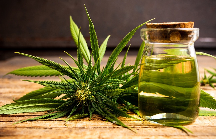Understand More About Important Of CBD Oil In Health