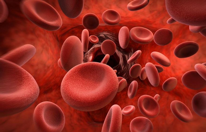 leukemia and hemophilia 