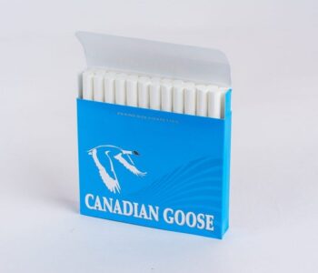 Canada Goose Lights